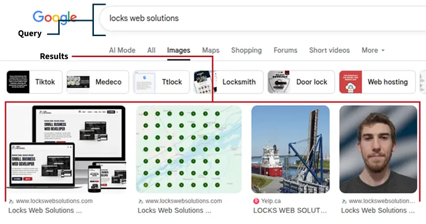 image and videos in the SERP. image and videos in the SERP.
